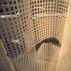 Hotel Szieszta Sopron - Egyéb