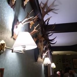 Platán Étterem Sárvár, Sárvár - Belső