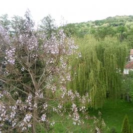 Villa Harmónia Visegrád - Környék