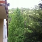 Villa Harmónia Visegrád - Környék