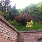 Villa Harmónia Visegrád - Környék