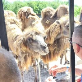 Richter Safari Park Nagykőrös - Külső kép