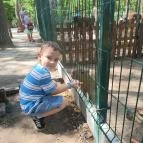 Richter Safari Park Nagykőrös - Külső kép