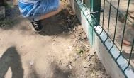 Richter Safari Park, Nagykőrös