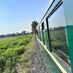 Balatonfenyvesi Kisvasút Balatonfenyves - Egyéb