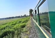 Balatonfenyvesi Kisvasút Balatonfenyves