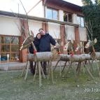 Zichy Park Hotel Bikács - Egyéb