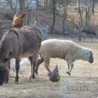 Zichy Park Hotel Bikács - Egyéb