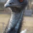 Zichy Park Hotel Bikács - Egyéb