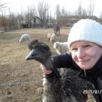 Zichy Park Hotel Bikács - Egyéb