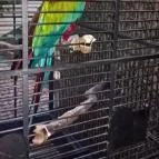 NaturMed Hotel Carbona Hévíz - Egyéb