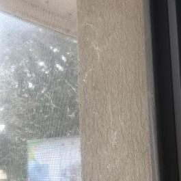 Wellness Hotel Szindbád Balatonszemes - Belső