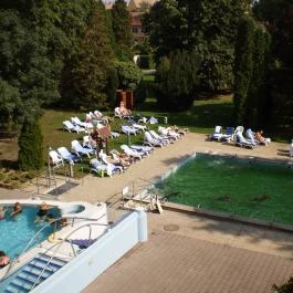 Ensana Thermal Sárvár Sárvár - Medence/kert