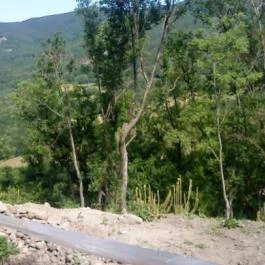 Füzéri Várgondnokság, Füzér - Füzéri Várgondnokság, Füzér -