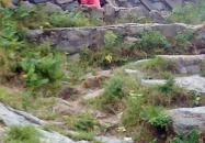 Salgó vára Salgótarján