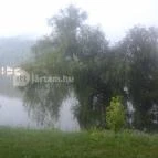 Suvadás Liget Arló - Környék