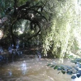 Szilvásváradi Archeopark, Szilvásvárad - Szilvásváradi Archeopark, Szilvásvárad -