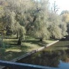 Éva Apartmanház Gyula - Környék