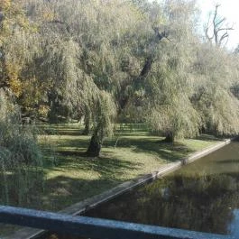 Éva Apartmanház , Gyula - Környék