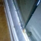 Hotel Bellevue Esztergom - Egyéb