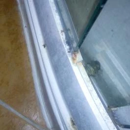 Hotel Bellevue Esztergom - Egyéb