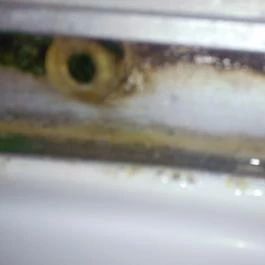 Hotel Bellevue Esztergom - Egyéb