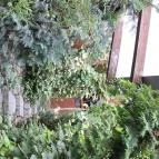 Faház Villa Apartman Miskolctapolca - Környék