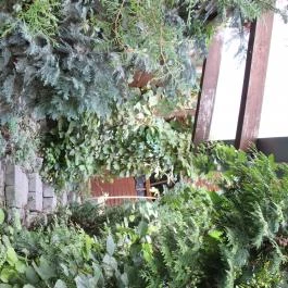 Faház Villa Apartman, Miskolctapolca - Környék