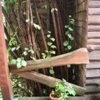 Faház Villa Apartman Miskolctapolca - Környék