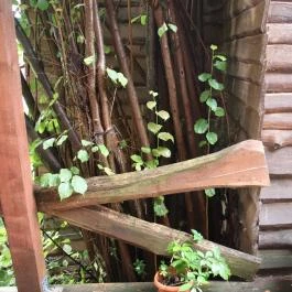 Faház Villa Apartman, Miskolctapolca - Környék