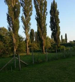 Vértesaljai Vendégház