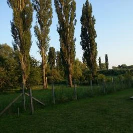 Vértesaljai Vendégház Gyenesdiás - Környék