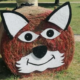 Tisza-tavi Ökocentrum Poroszló - Külső kép