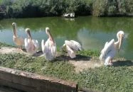 Tisza-tavi Ökocentrum Poroszló