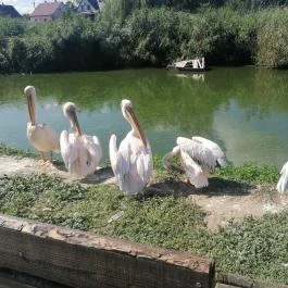 Tisza-tavi Ökocentrum Poroszló - Külső kép