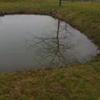 Hotel Vécsecity Hernádvécse - Medence/kert