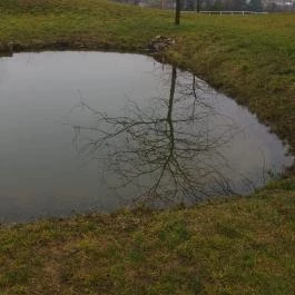 Hotel Vécsecity Hernádvécse - Medence/kert