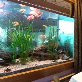 MenDan Magic Spa & Wellness Hotel, Zalakaros - Belső