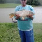 Zselicvölgy Szabadidőfarm Hajmás - Medence/kert