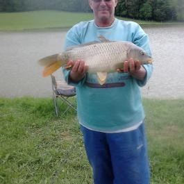 Zselicvölgy Szabadidőfarm Hajmás - Medence/kert
