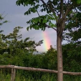 Panoráma Panzió Mátra, Gyöngyös - Környék