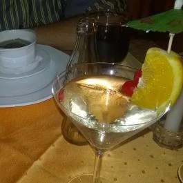 Fried Kastély Hotel Simontornya - Vendéglátás