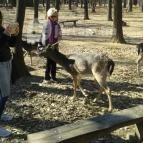 Erzsébet Park Hotel Parádfürdő - Környék