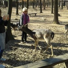 Erzsébet Park Hotel, Parádfürdő - Környék