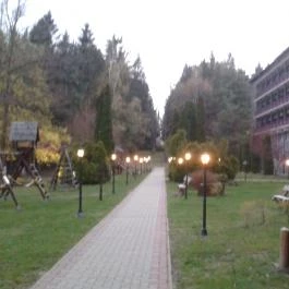 Grandhotel Galya, Galyatető - Medence/kert