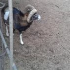 Grandhotel Galya Galyatető - Környék