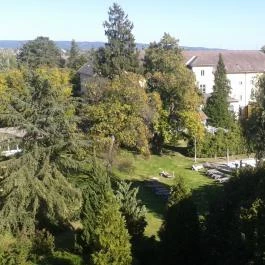 Hunguest Hotel Helios, Hévíz - Medence/kert