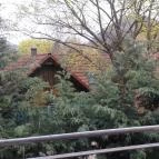 Royal Club Hotel Visegrád - Környék