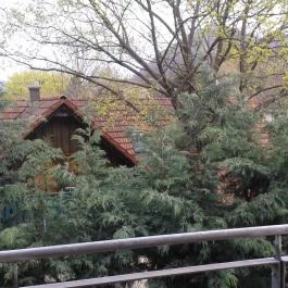 Royal Club Hotel, Visegrád - Környék