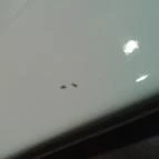 Royal Club Hotel Visegrád - Egyéb